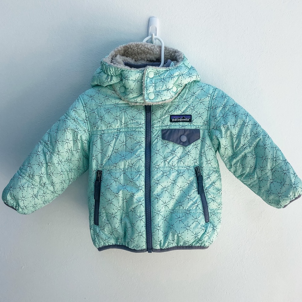 Patagonia Reversible Fleece Jacket “Mint”